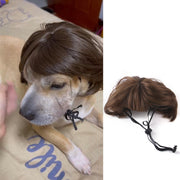 Halloween Christmas Wig Pet Hair Accessories