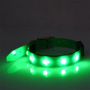 Luminous Waterproof Collar Adjustable Cat