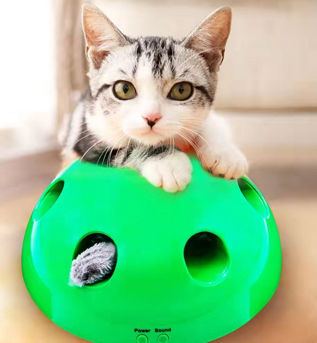 Cat Toy Funny Cat Interactive Toy At Scratching Device For Cat Sharpen Claw Play Cat Training Toy Pet Supplies