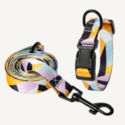 Dog Collar Neck Collar Pet Leash