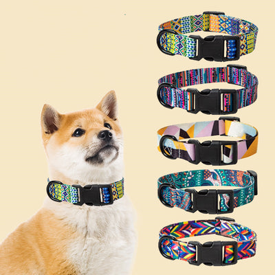 Dog Collar Neck Collar Pet Leash