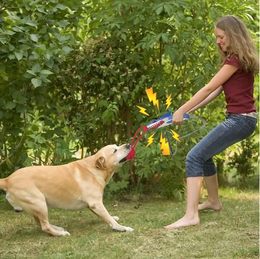 Aggressive Chewers Tether Tug Outdoor Dog Toy Chew Toys