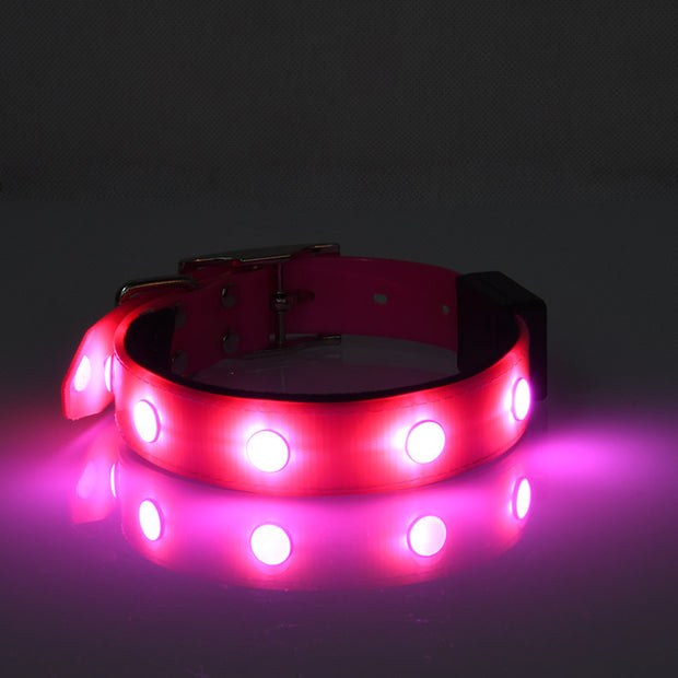 Luminous Waterproof Collar Adjustable Cat